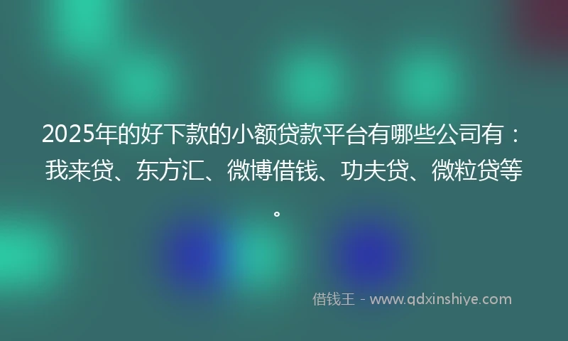 2025年的好下款的小额贷款平台有哪些公司有：我来贷、东方汇、微博借钱、功夫贷、微粒贷等。
