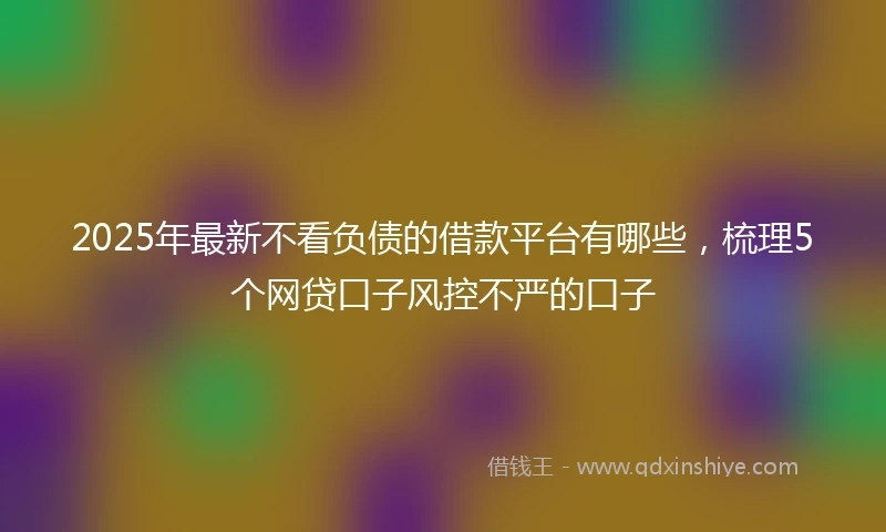 2025年最新不看负债的借款平台有哪些，梳理5个网贷口子风控不严的口子