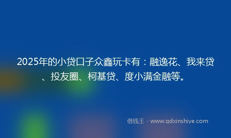 2025年的小贷口子众鑫玩卡有：融逸花、我来贷、投友圈、柯基贷、度小满金融等。