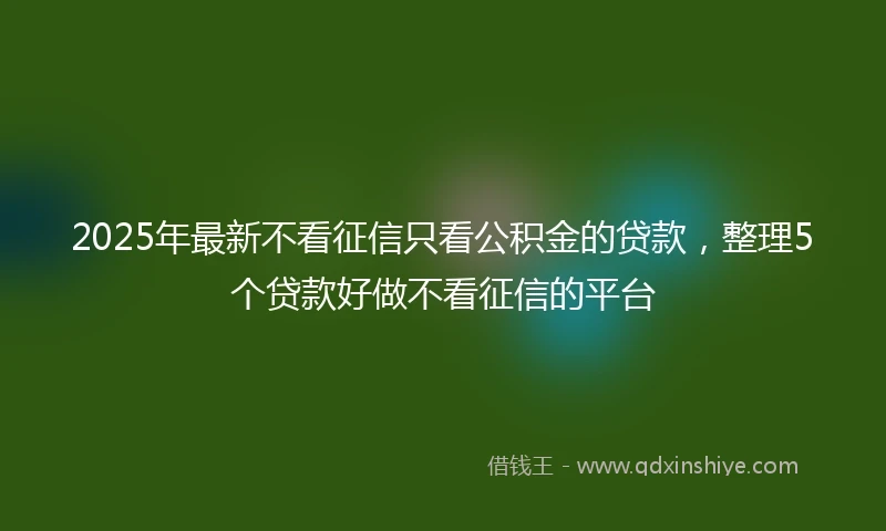 2025年最新不看征信只看公积金的贷款，整理5个贷款好做不看征信的平台
