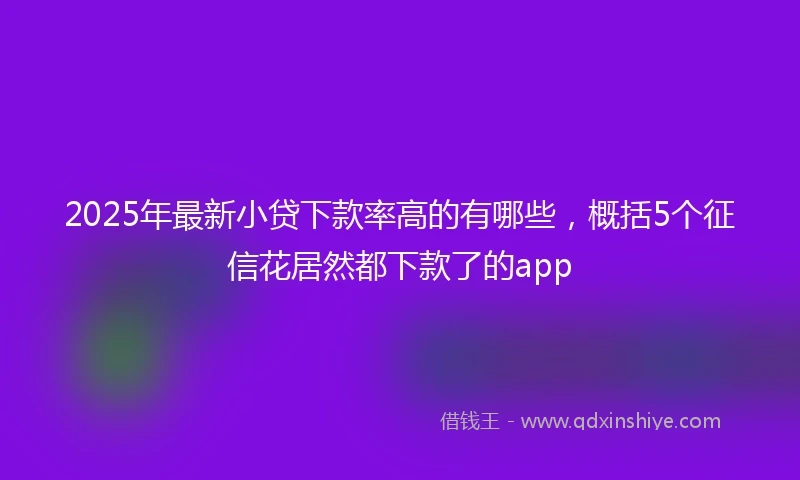 2025年最新小贷下款率高的有哪些，概括5个征信花居然都下款了的app
