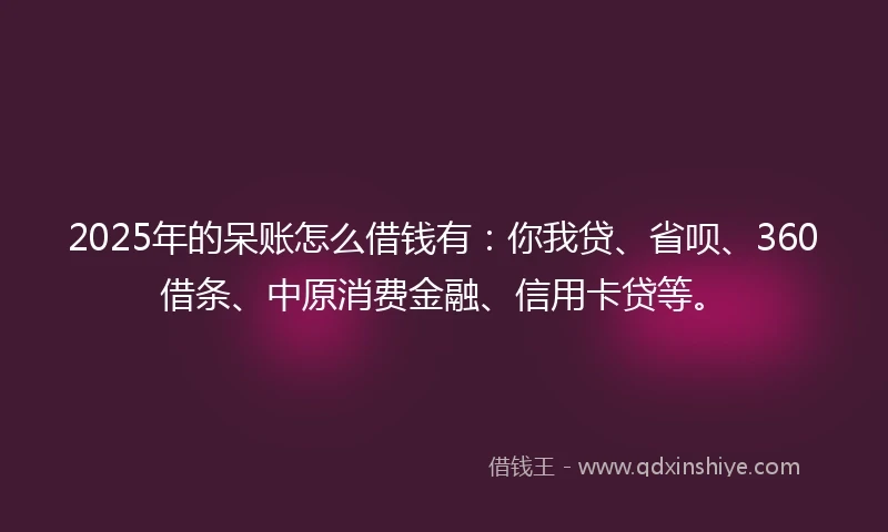 2025年的呆账怎么借钱有：你我贷、省呗、360借条、中原消费金融、信用卡贷等。