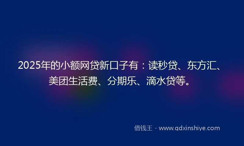 2025年的小额网贷新口子有：读秒贷、东方汇、美团生活费、分期乐、滴水贷等。