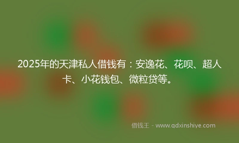 2025年的天津私人借钱有：安逸花、花呗、超人卡、小花钱包、微粒贷等。