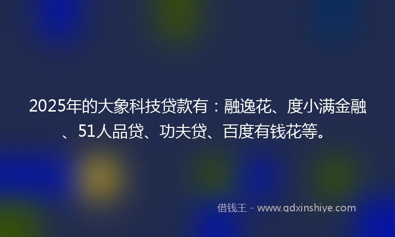 2025年的大象科技贷款有：融逸花、度小满金融、51人品贷、功夫贷、百度有钱花等。