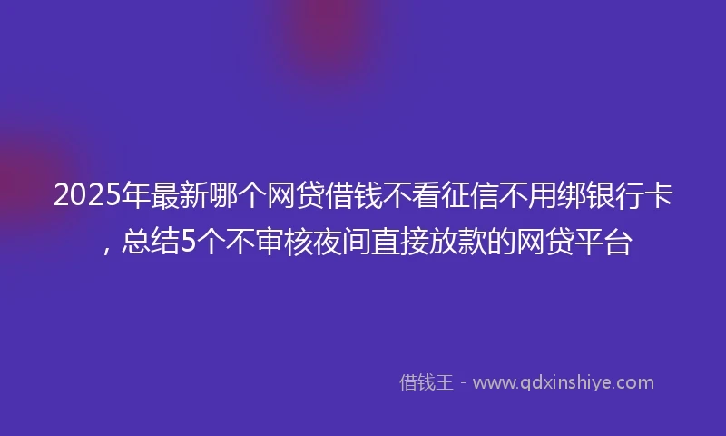 2025年最新哪个网贷借钱不看征信不用绑银行卡，总结5个不审核夜间直接放款的网贷平台