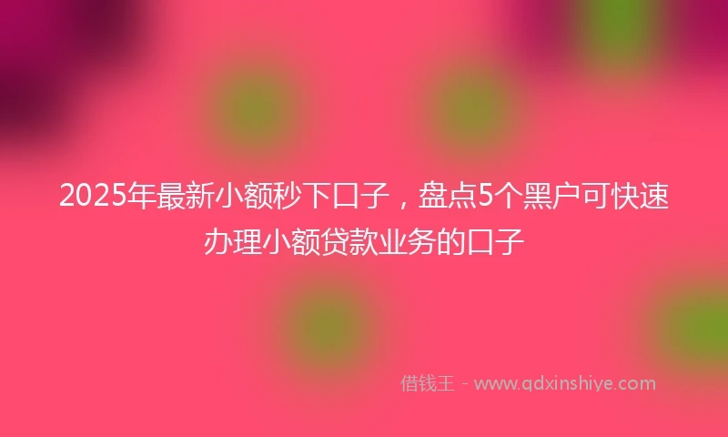 2025年最新小额秒下口子，盘点5个黑户可快速办理小额贷款业务的口子