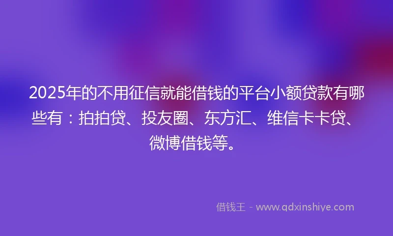 2025年的不用征信就能借钱的平台小额贷款有哪些有：拍拍贷、投友圈、东方汇、维信卡卡贷、微博借钱等。