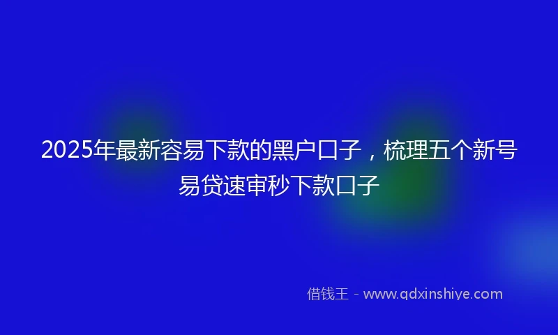 2025年最新容易下款的黑户口子，梳理五个新号易贷速审秒下款口子