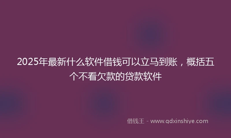 2025年最新什么软件借钱可以立马到账，概括五个不看欠款的贷款软件
