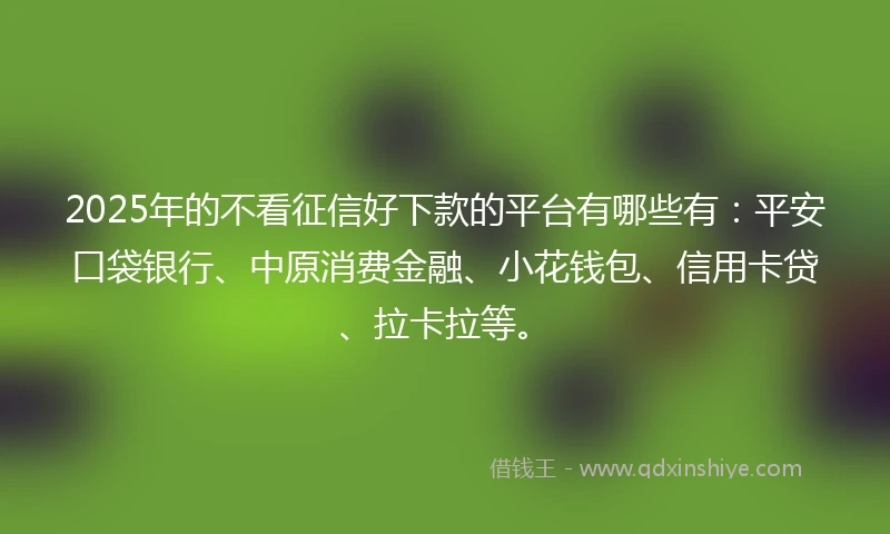2025年的不看征信好下款的平台有哪些有：平安口袋银行、中原消费金融、小花钱包、信用卡贷、拉卡拉等。