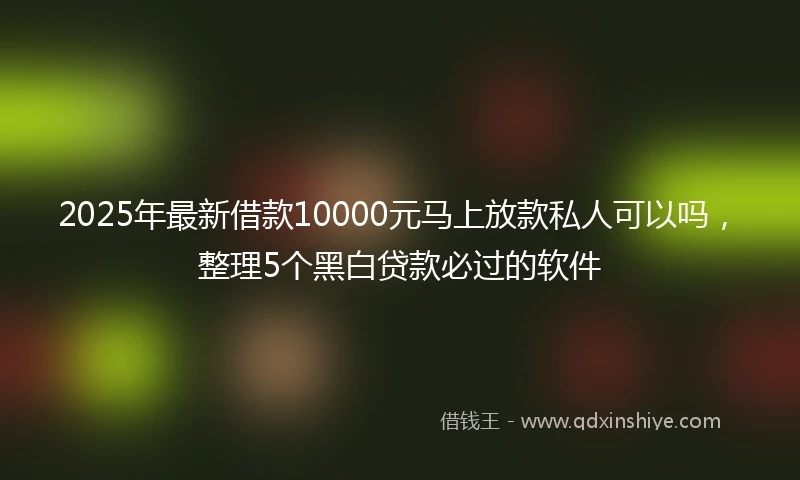 2025年最新借款10000元马上放款私人可以吗，整理5个黑白贷款必过的软件