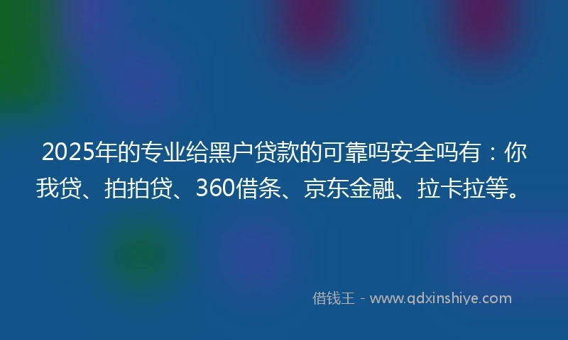 2025年的专业给黑户贷款的可靠吗安全吗有：你我贷、拍拍贷、360借条、京东金融、拉卡拉等。