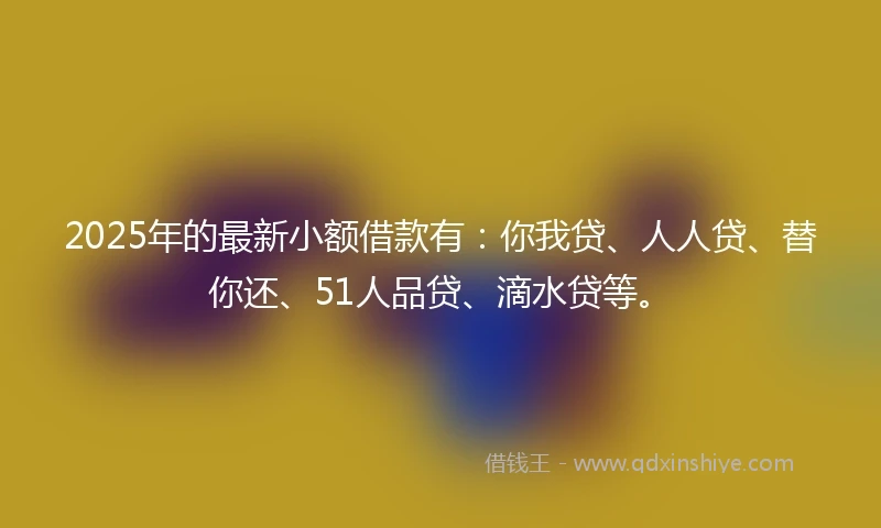 2025年的最新小额借款有：你我贷、人人贷、替你还、51人品贷、滴水贷等。