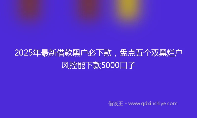 2025年最新借款黑户必下款，盘点五个双黑烂户风控能下款5000口子
