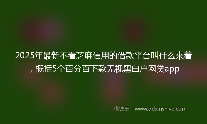 2025年最新不看芝麻信用的借款平台叫什么来着，概括5个百分百下款无视黑白户网贷app