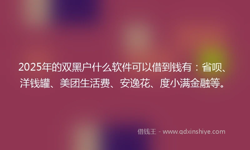 2025年的双黑户什么软件可以借到钱有：省呗、洋钱罐、美团生活费、安逸花、度小满金融等。