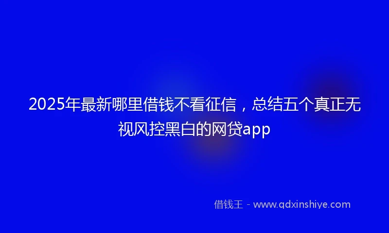 2025年最新哪里借钱不看征信，总结五个真正无视风控黑白的网贷app