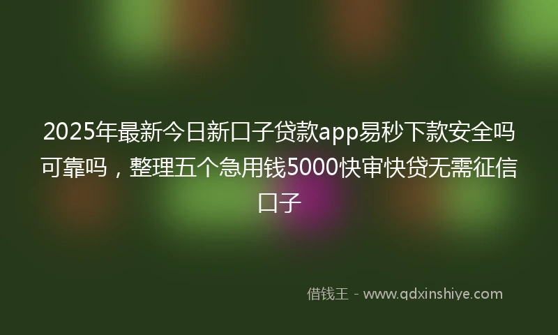 2025年最新今日新口子贷款app易秒下款安全吗可靠吗，整理五个急用钱5000快审快贷无需征信口子