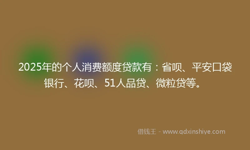 2025年的个人消费额度贷款有：省呗、平安口袋银行、花呗、51人品贷、微粒贷等。