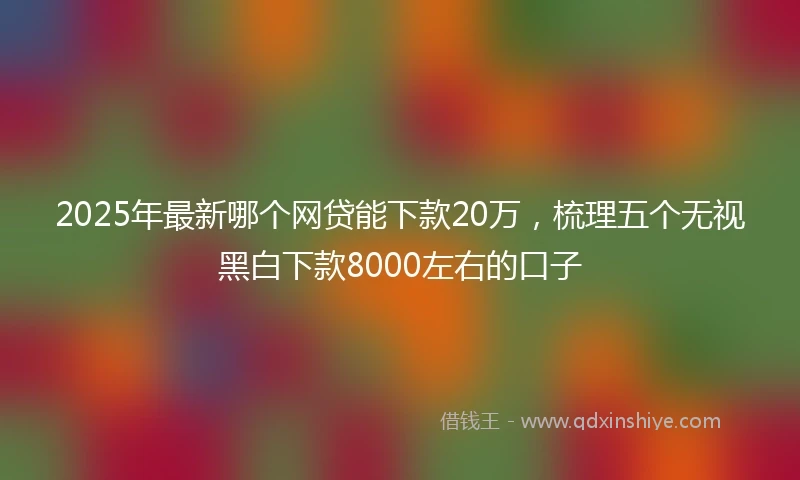 2025年最新哪个网贷能下款20万，梳理五个无视黑白下款8000左右的口子
