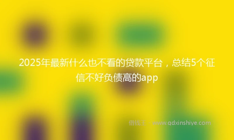 2025年最新什么也不看的贷款平台，总结5个征信不好负债高的app
