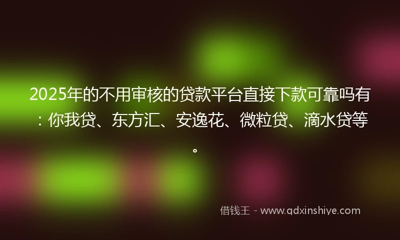 2025年的不用审核的贷款平台直接下款可靠吗有：你我贷、东方汇、安逸花、微粒贷、滴水贷等。