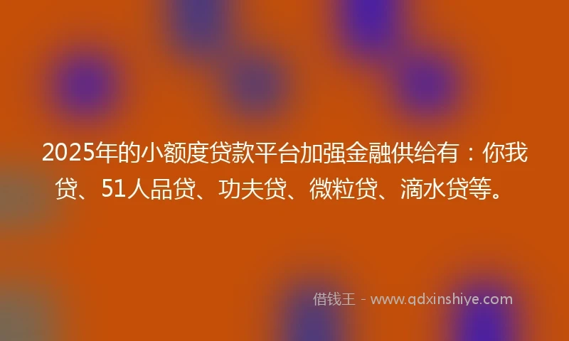 2025年的小额度贷款平台加强金融供给有：你我贷、51人品贷、功夫贷、微粒贷、滴水贷等。