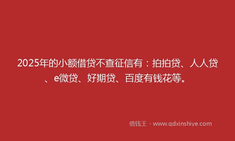 2025年的小额借贷不查征信有：拍拍贷、人人贷、e微贷、好期贷、百度有钱花等。