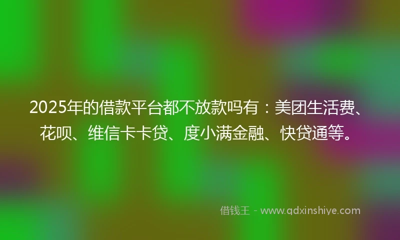 2025年的借款平台都不放款吗有：美团生活费、花呗、维信卡卡贷、度小满金融、快贷通等。
