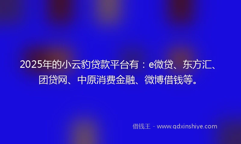 2025年的小云豹贷款平台有：e微贷、东方汇、团贷网、中原消费金融、微博借钱等。