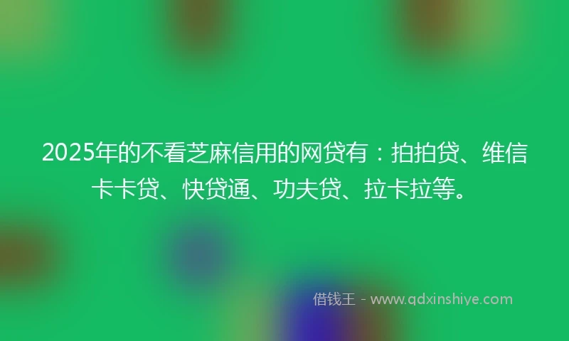 2025年的不看芝麻信用的网贷有：拍拍贷、维信卡卡贷、快贷通、功夫贷、拉卡拉等。