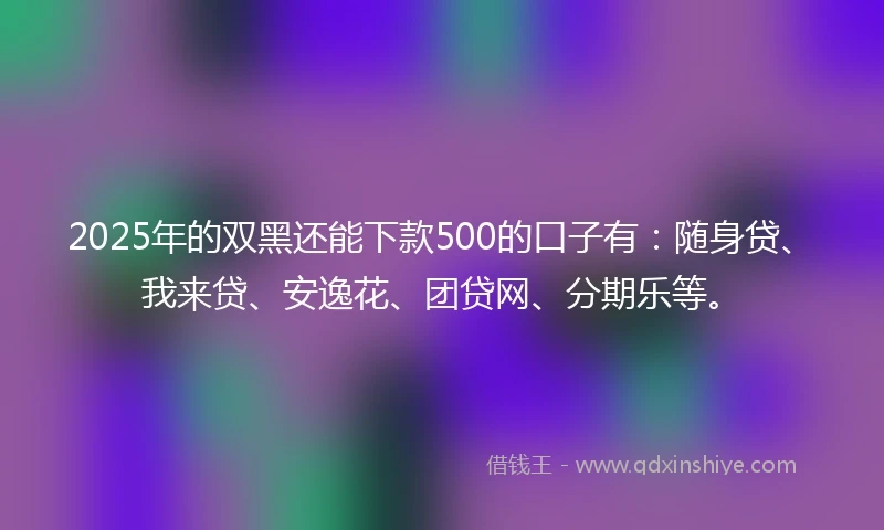 2025年的双黑还能下款500的口子有：随身贷、我来贷、安逸花、团贷网、分期乐等。