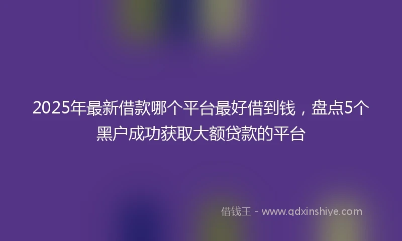 2025年最新借款哪个平台最好借到钱，盘点5个黑户成功获取大额贷款的平台