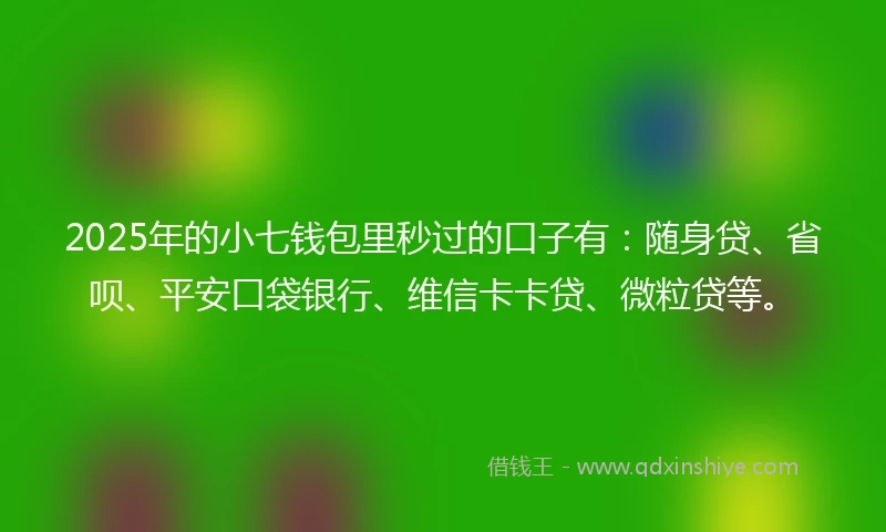 2025年的小七钱包里秒过的口子有：随身贷、省呗、平安口袋银行、维信卡卡贷、微粒贷等。