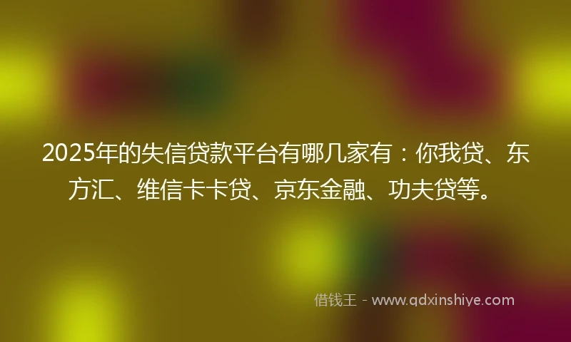 2025年的失信贷款平台有哪几家有：你我贷、东方汇、维信卡卡贷、京东金融、功夫贷等。