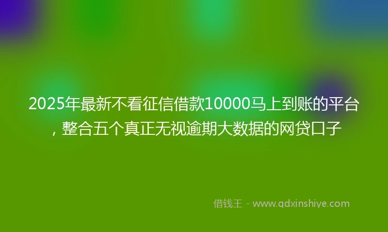 2025年最新不看征信借款10000马上到账的平台，整合五个真正无视逾期大数据的网贷口子