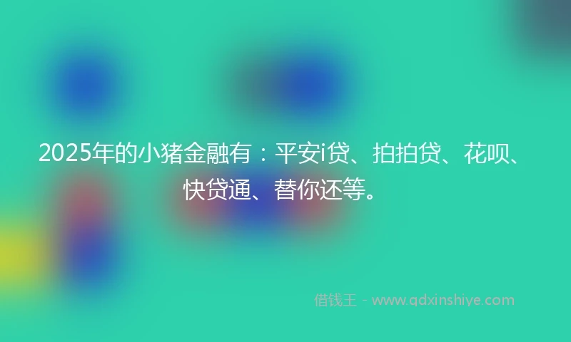 2025年的小猪金融有：平安i贷、拍拍贷、花呗、快贷通、替你还等。
