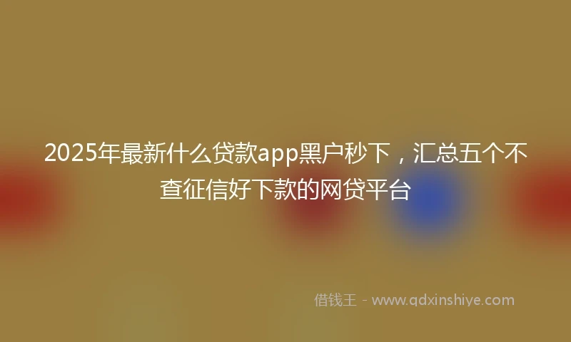 2025年最新什么贷款app黑户秒下，汇总五个不查征信好下款的网贷平台