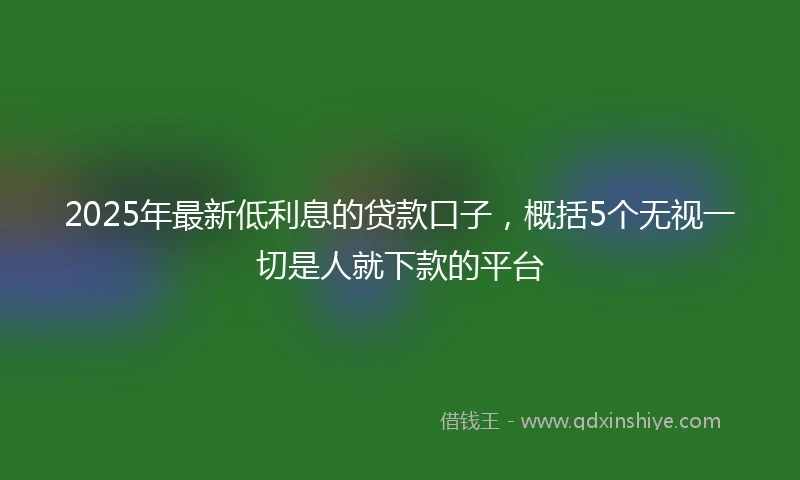 2025年最新低利息的贷款口子，概括5个无视一切是人就下款的平台