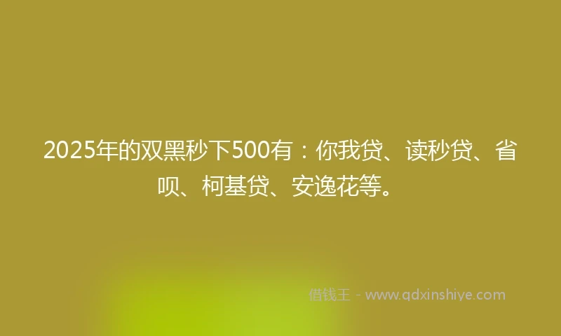 2025年的双黑秒下500有：你我贷、读秒贷、省呗、柯基贷、安逸花等。