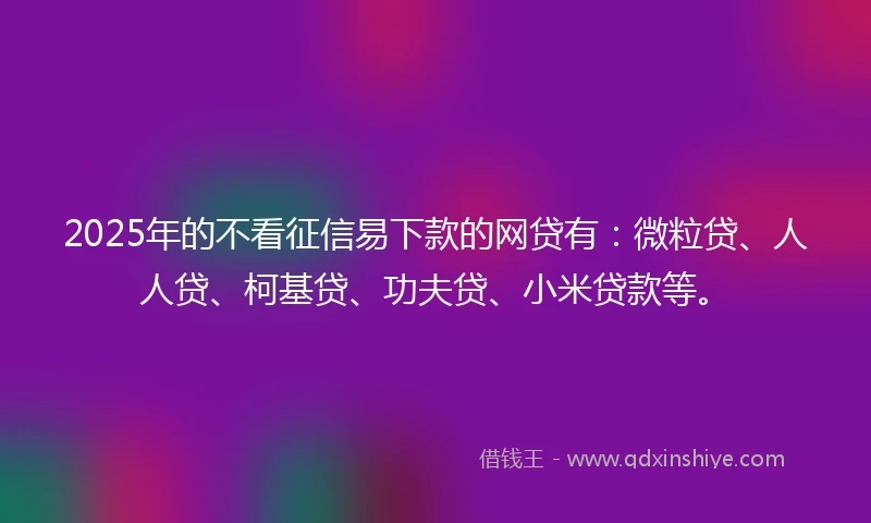 2025年的不看征信易下款的网贷有：微粒贷、人人贷、柯基贷、功夫贷、小米贷款等。