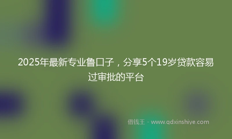 2025年最新专业鲁口子，分享5个19岁贷款容易过审批的平台