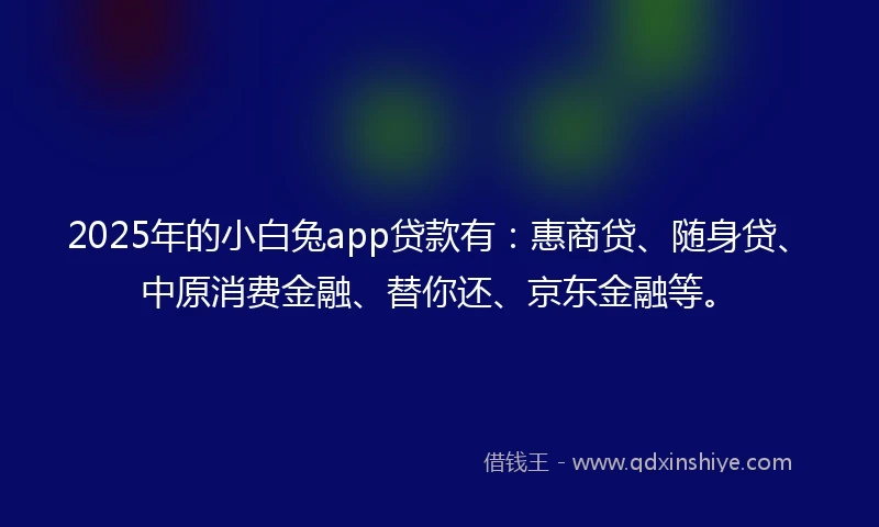 2025年的小白兔app贷款有：惠商贷、随身贷、中原消费金融、替你还、京东金融等。