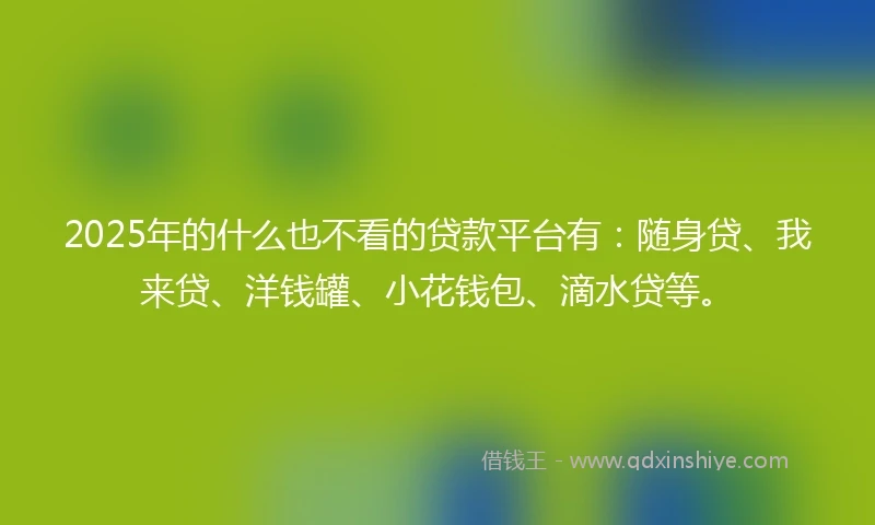 2025年的什么也不看的贷款平台有：随身贷、我来贷、洋钱罐、小花钱包、滴水贷等。