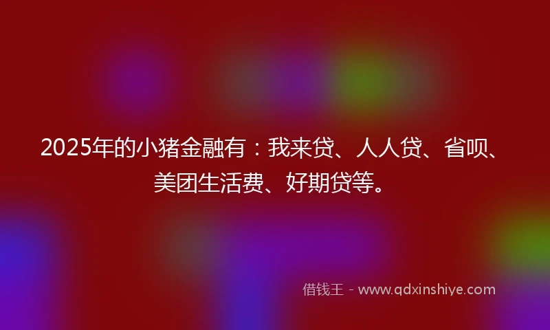 2025年的小猪金融有：我来贷、人人贷、省呗、美团生活费、好期贷等。