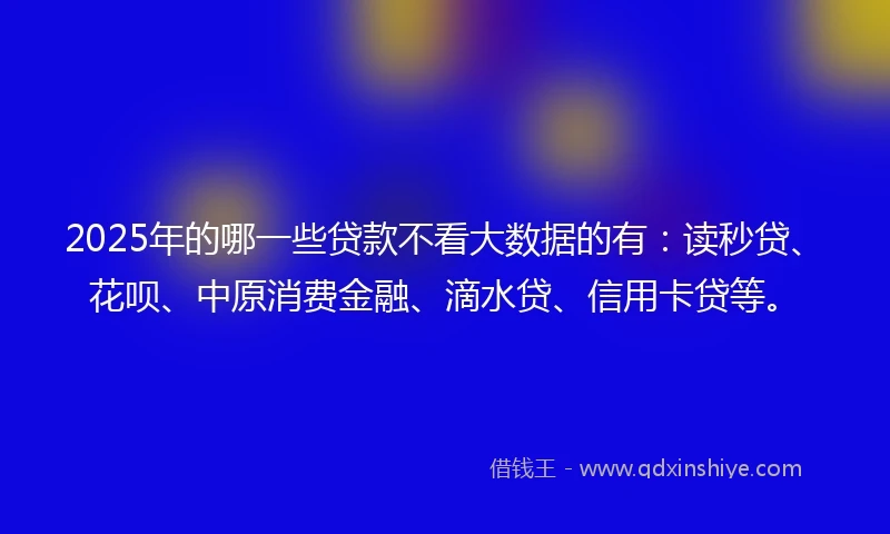 2025年的哪一些贷款不看大数据的有：读秒贷、花呗、中原消费金融、滴水贷、信用卡贷等。