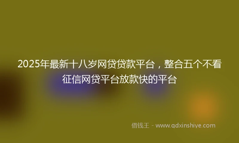 2025年最新十八岁网贷贷款平台，整合五个不看征信网贷平台放款快的平台