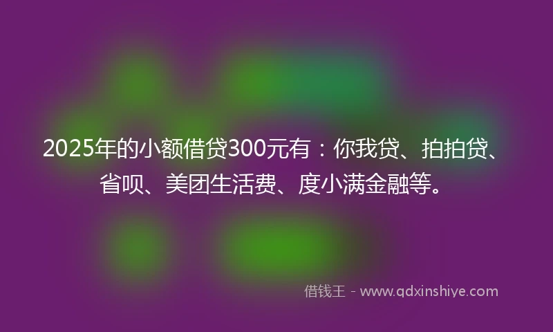 2025年的小额借贷300元有：你我贷、拍拍贷、省呗、美团生活费、度小满金融等。