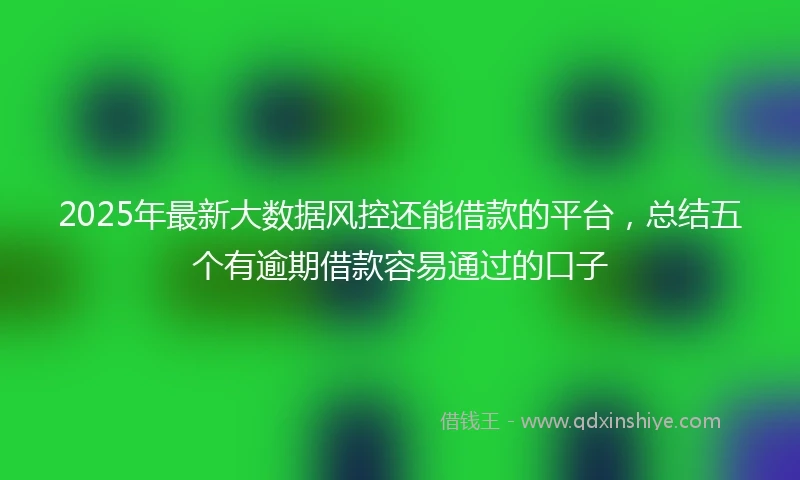 2025年最新大数据风控还能借款的平台，总结五个有逾期借款容易通过的口子